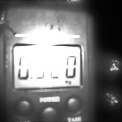 濁りきついがタコ